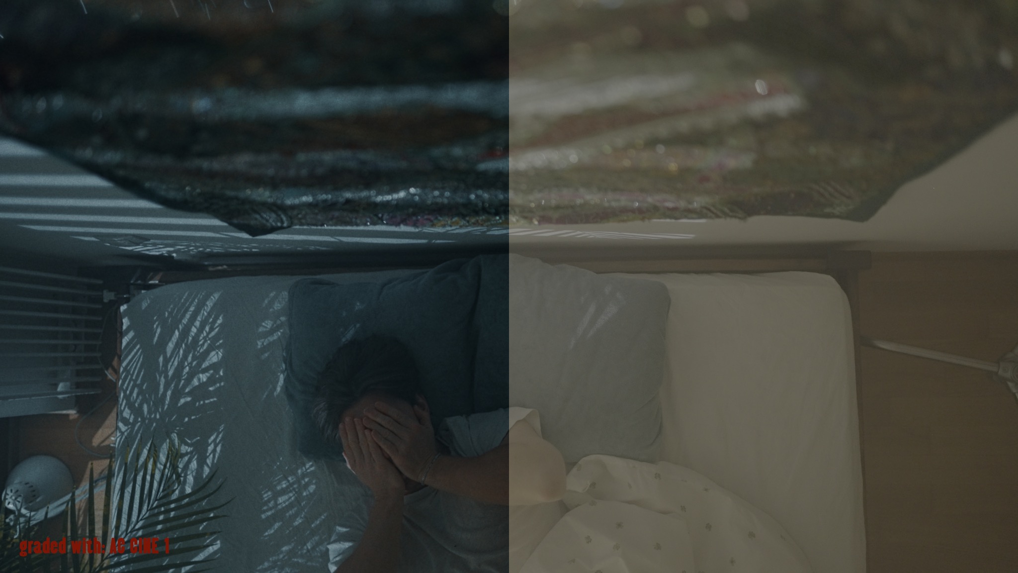 AC CINE LOOKS before and after - frame 8