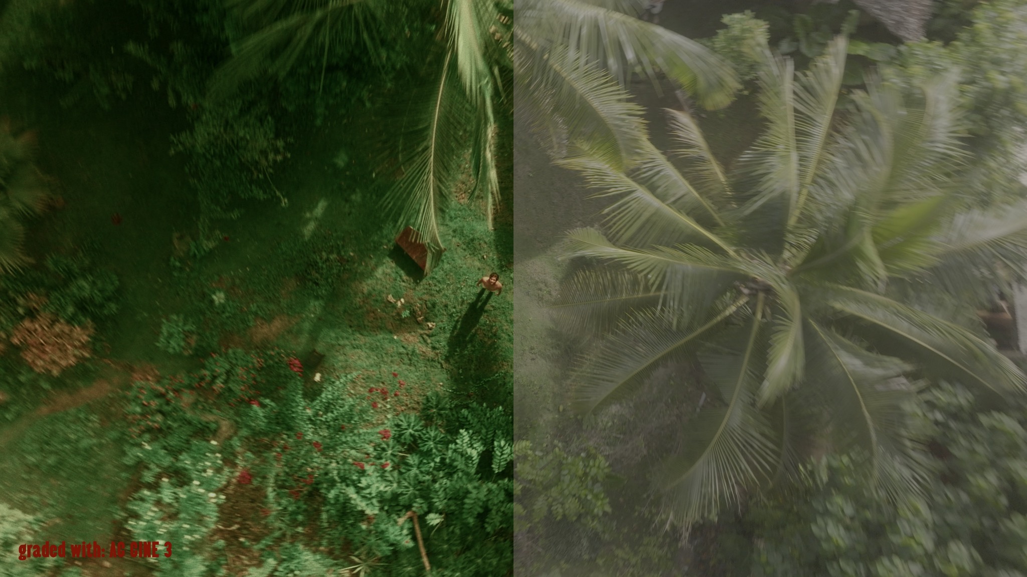 AC CINE LOOKS before and after - frame 12