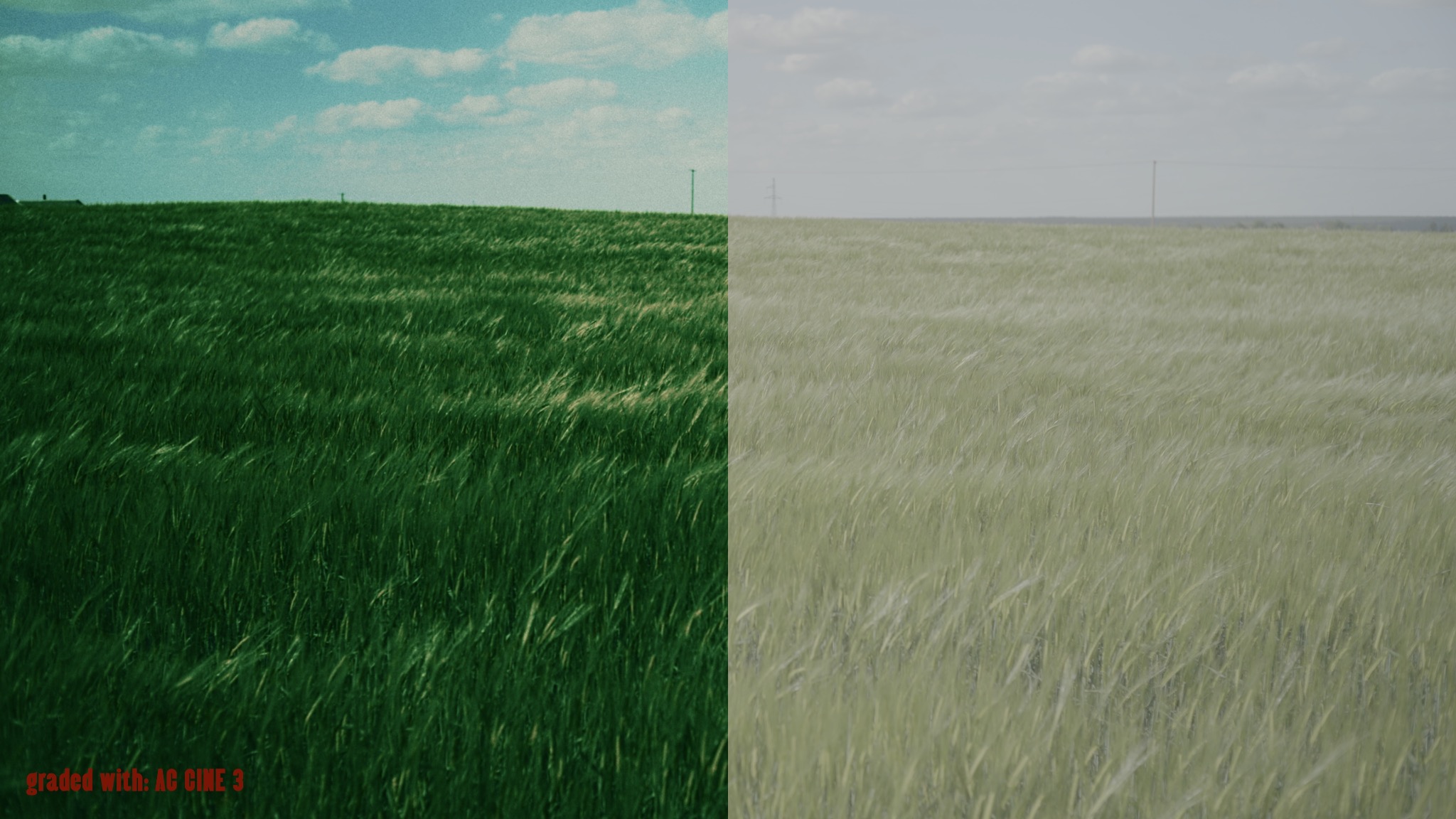 AC CINE LOOKS before and after - frame 14
